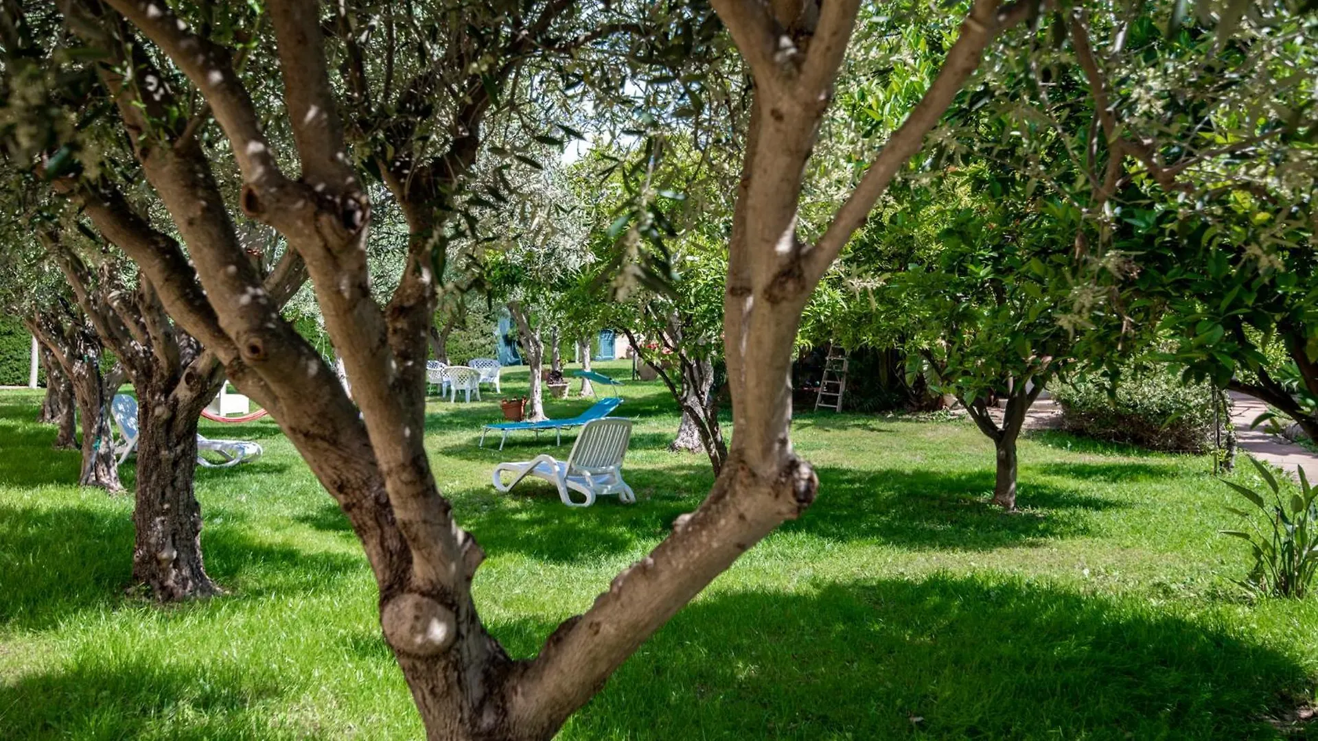 Villa Del Papiro Charme Apartments Avola